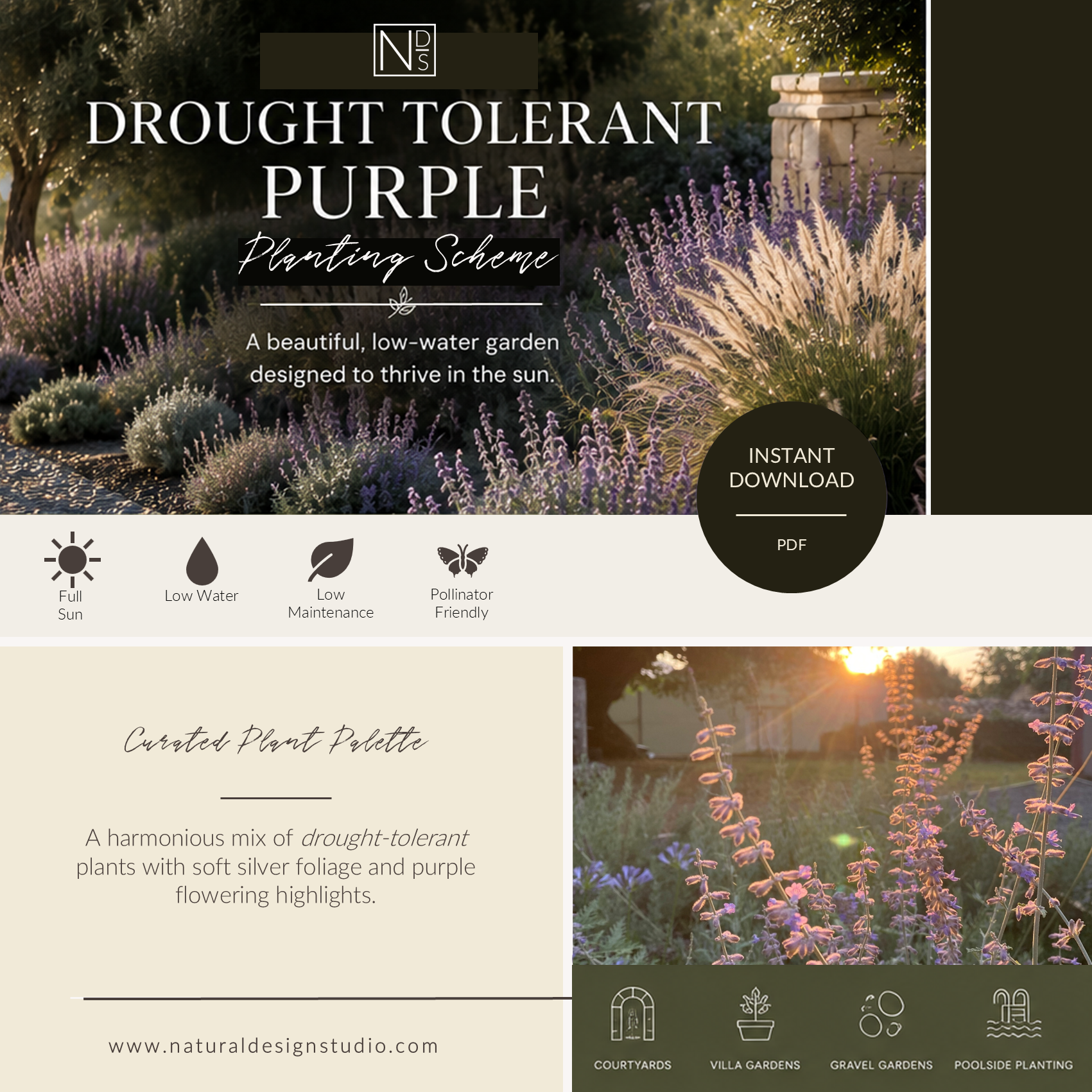 Drought-Tolerant Purple Border Planting Scheme - Instant Digital Download