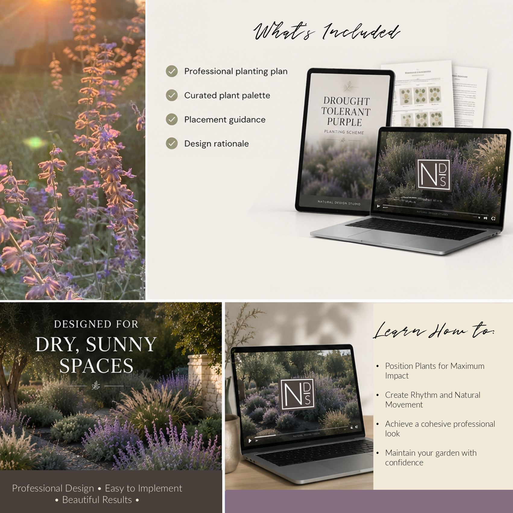 Drought-Tolerant Purple Border Planting Scheme - Instant Digital Download