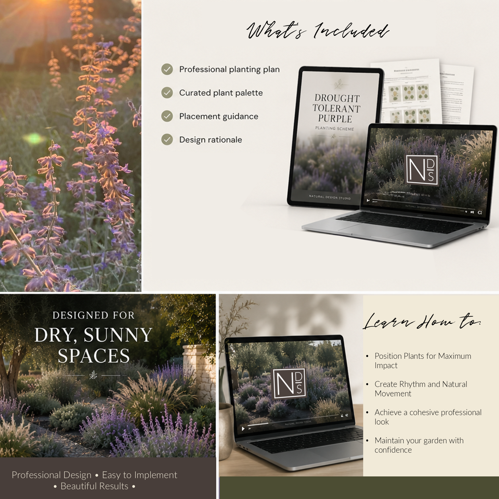 Drought-Tolerant Purple Border Planting Scheme - Instant Digital Download